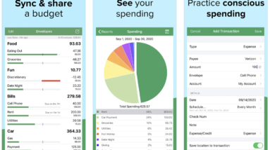 Three screenshots of the Goodbudget app